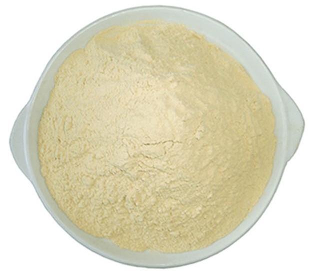 White Bean Extract