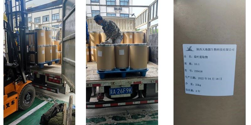 3000KG LOTUS LEAF EXTRACT ABOUT TO SHIP
