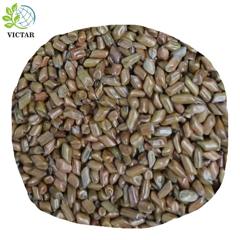 product-800-800