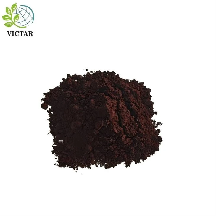 Reishi gljiva u prahu