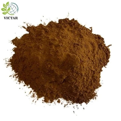 Chaga gljiva u prahu